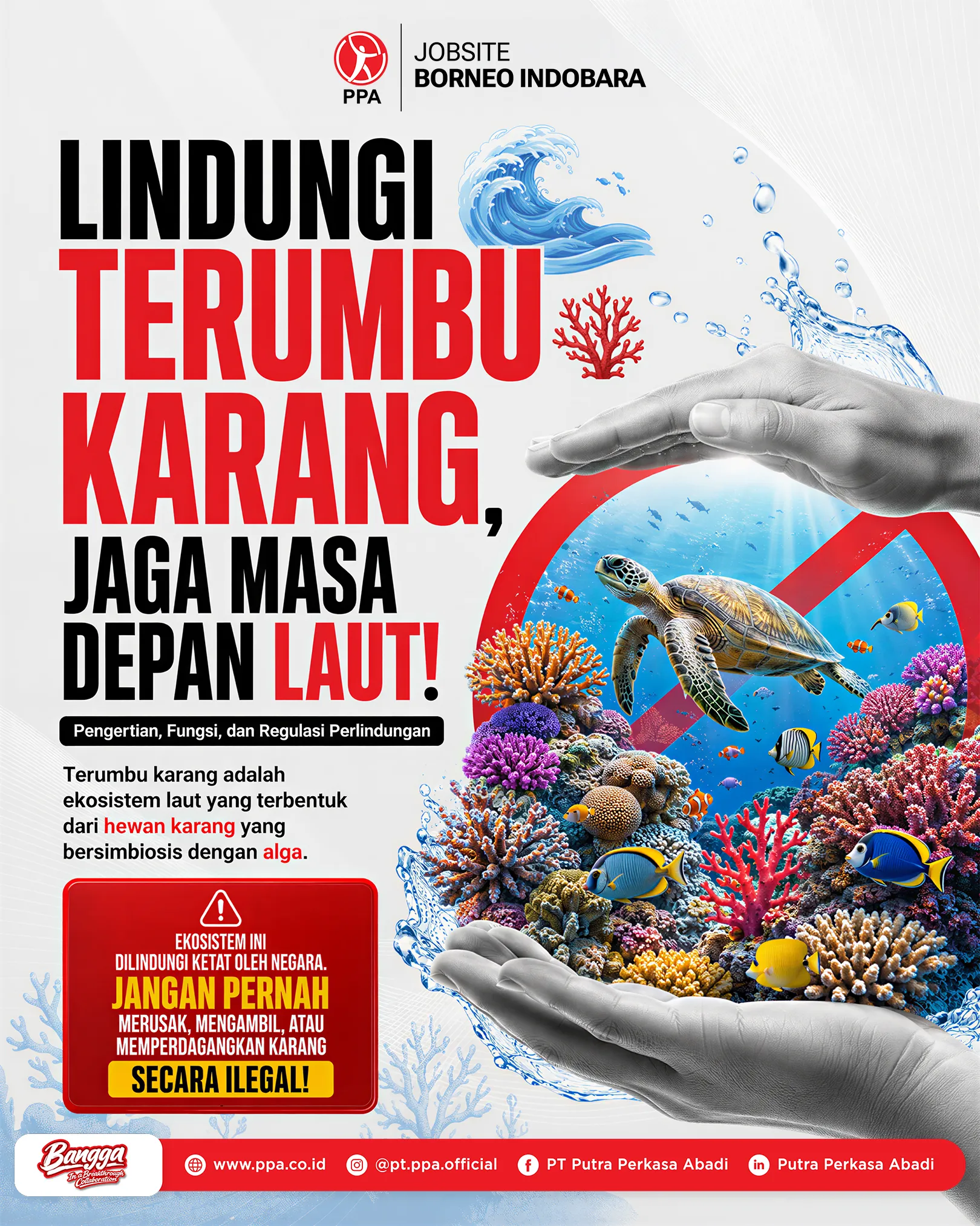 Lindungi Terumbu Karang, Jaga Masa Depan Ekosistem Laut Kita!